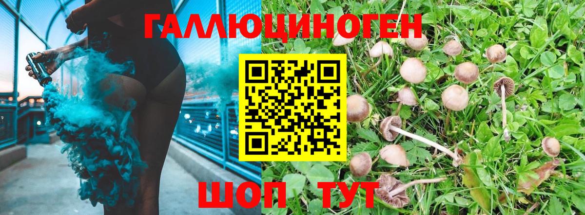 Галлюциногенные грибы GOLDEN TEACHER Шумерля